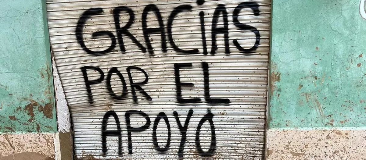 La psiquiatría ante una inundación catastrófica como la de Valencia